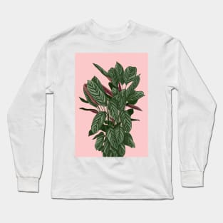 Modern House plant in pink 5, Abstract Plant Art Long Sleeve T-Shirt